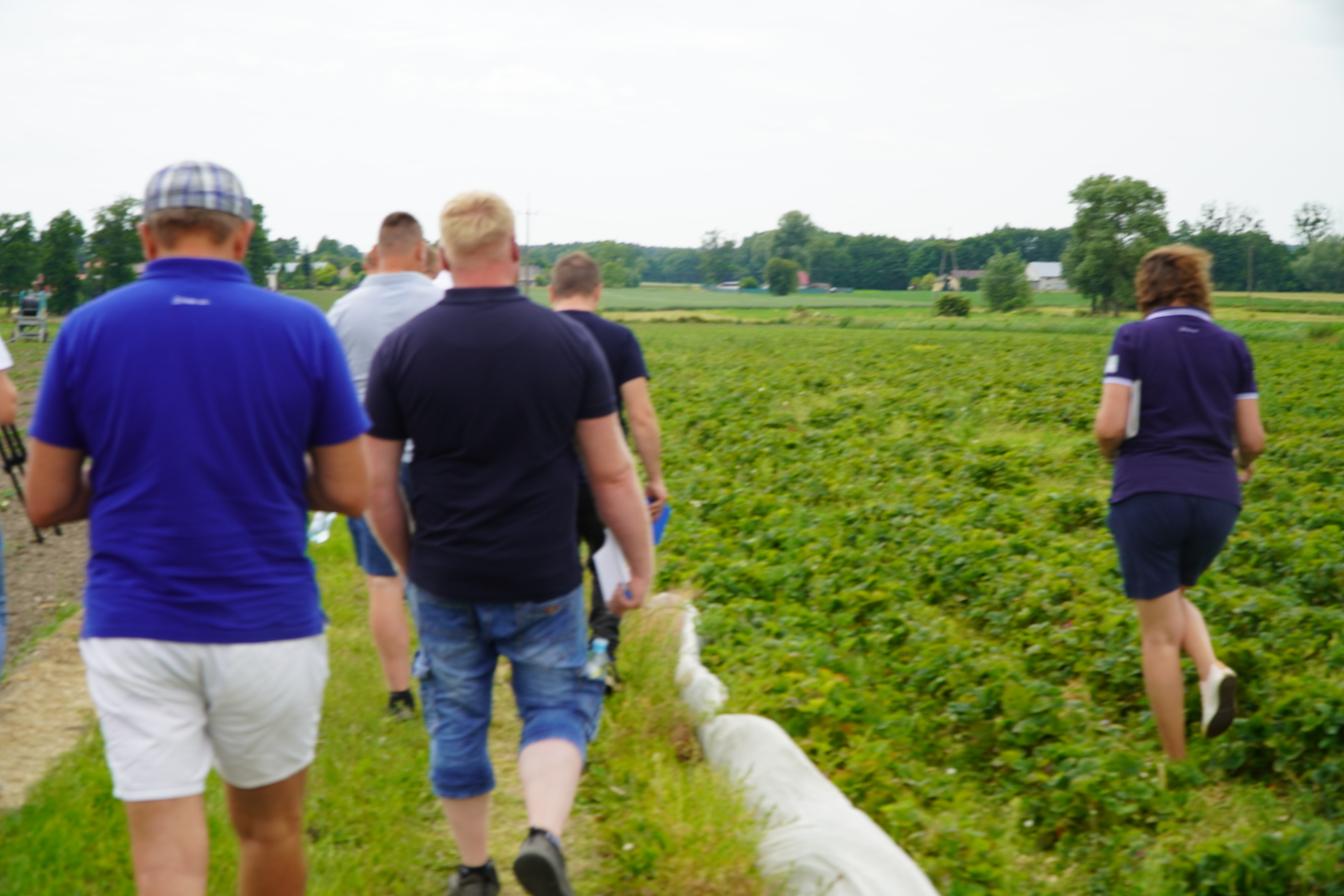 Czy polscy sadownicy zarobili na nowy sezon?