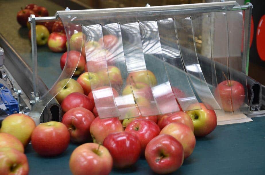 Polska zaimportowała… 80 ton jabłek deserowych z Ukrainy