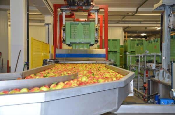 Jakie problemy stają przed grupami? Spojrzenie okiem eksperta 