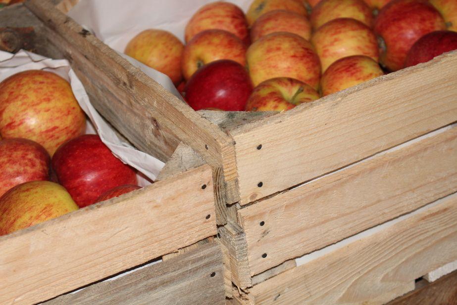 Co słychać na Broniszach?