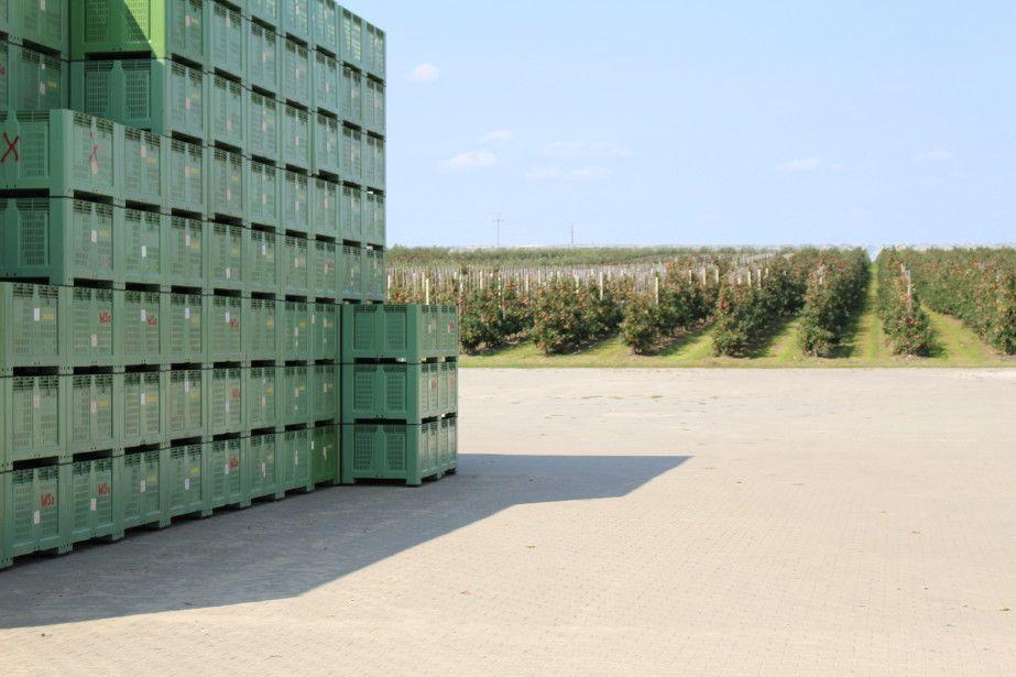 Spółdzielnie rolników będą zwalniane z podatków