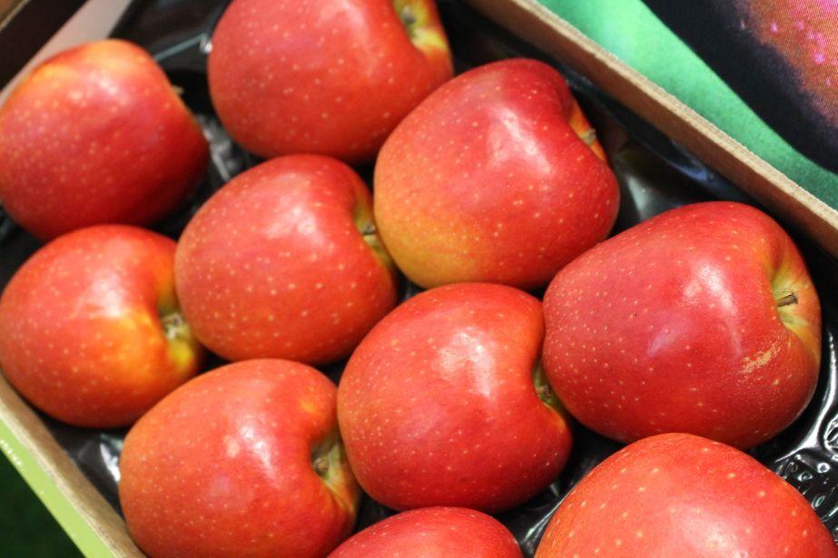 Fengapi – kolejna odmianowa nowość na Fruit Logistica  