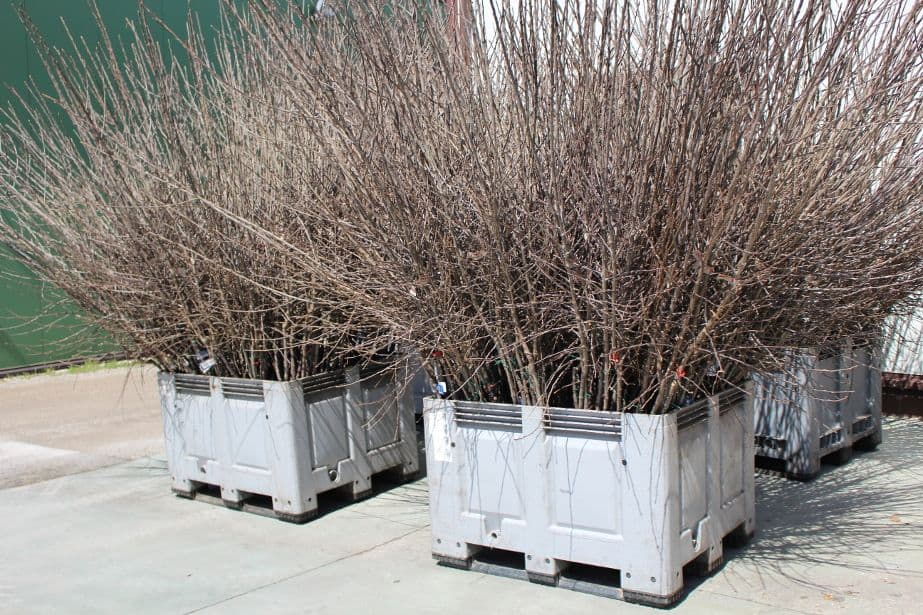 Włochy: Cały kraj objęty czerwoną strefą!