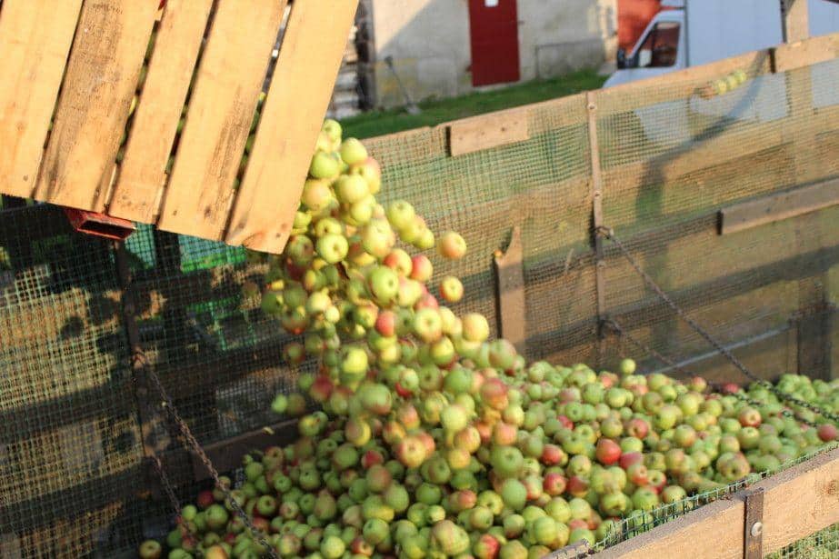 Przemysł nieznacznie zdrożał – przypominamy, jak było w roku 2016