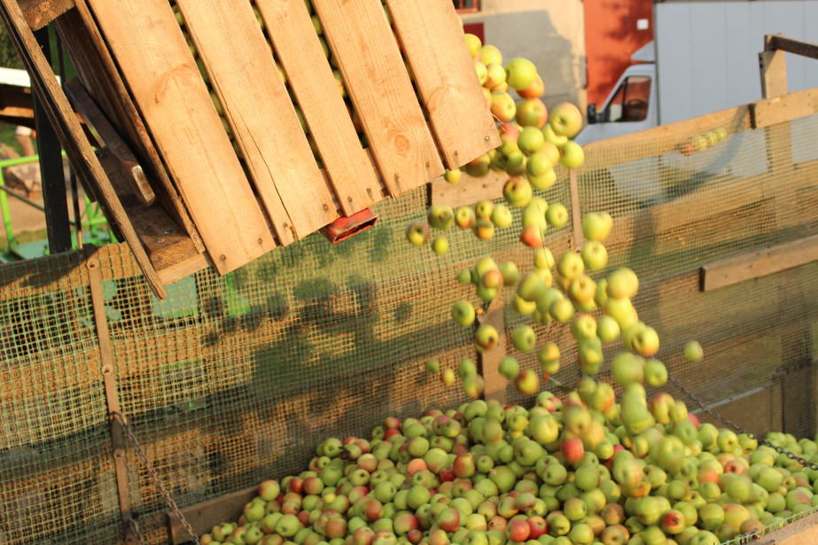 Dohler mówi – 33 grosze, sadownicy – przynajmniej 1,00 zł