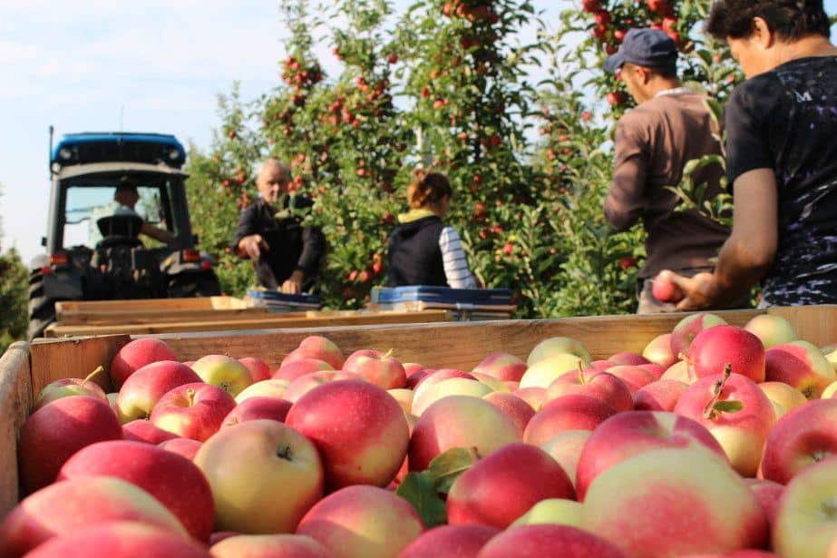 Ceny spadają, koszty rosną