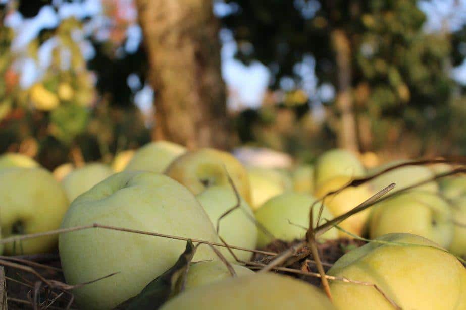 Przemysł staniał – nawet na 17 groszy