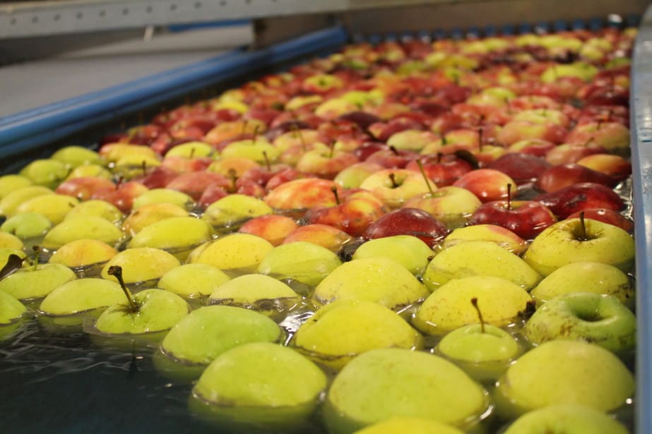 Przede wszystkim wypłacalność, potem cena