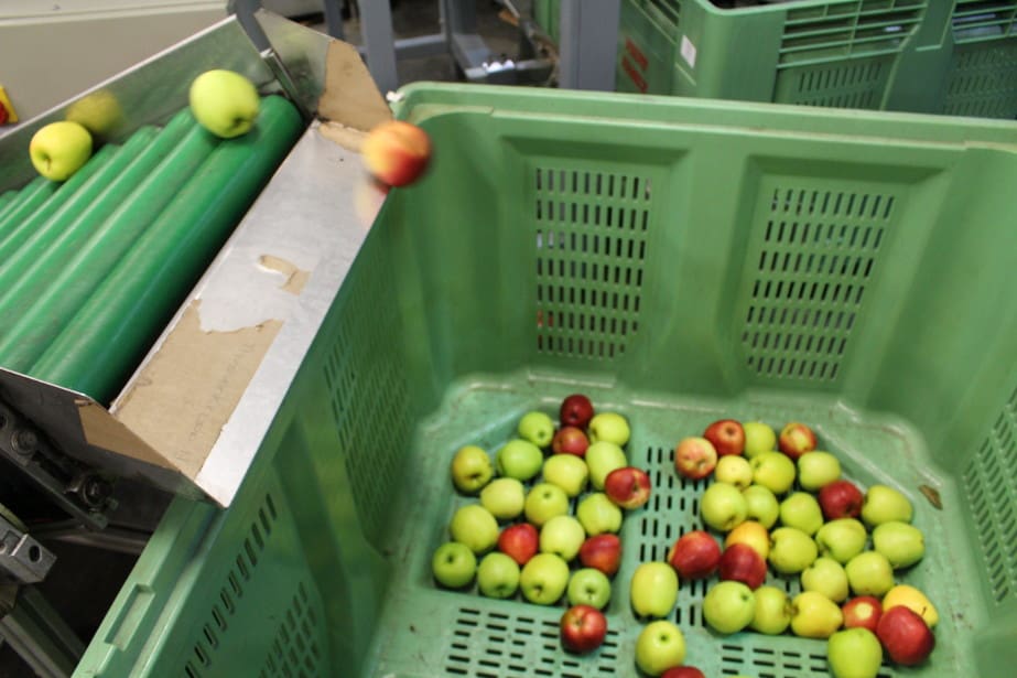 Ceny przemysłu w grupach producenckich