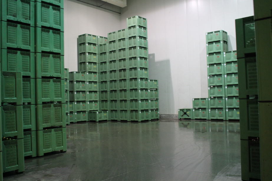 Stany magazynowe: Ligola mamy o 76% mniej, Jonagoldów o 50%