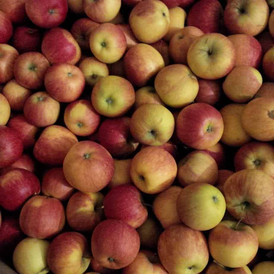 Organizacje producenckie mogą wycofać 7 720 ton jabłek