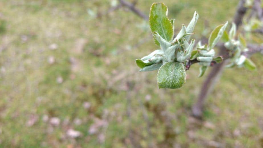 Kaptan – jedna substancja, wiele możliwości – R. Sas, IPSAD