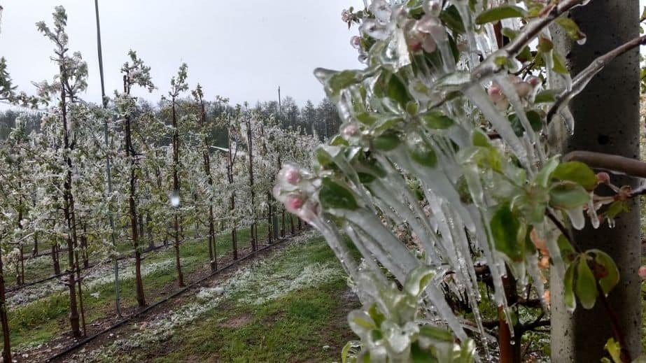 „Inwestycje odtwarzające potencjał produkcji rolnej” – nabór wniosków już niebawem!