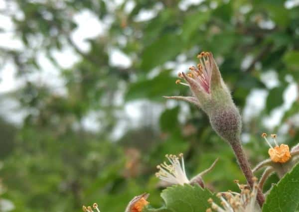 KOMUNIKAT SKS NR 11 2017-06-02