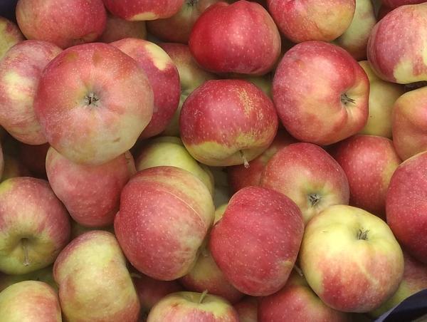Aktualne ceny jabłek na rynkach hurtowych