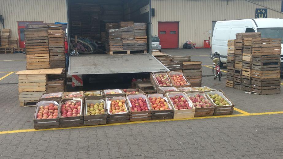 Pierwsza Early Geneva dojrzała – ceny jak rok temu