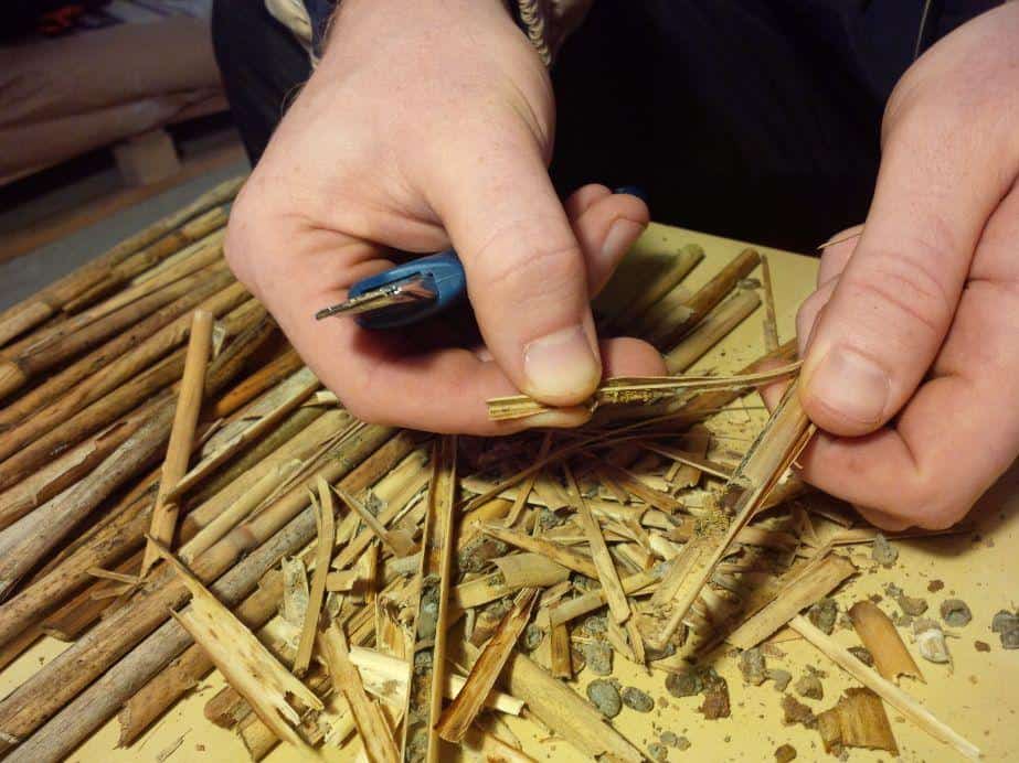  W jakiej kondycji jest Twoja murarka? – oddzielamy kokony