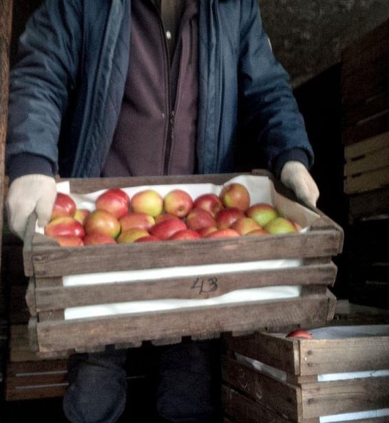 Dziś na Broniszach – spadki cen