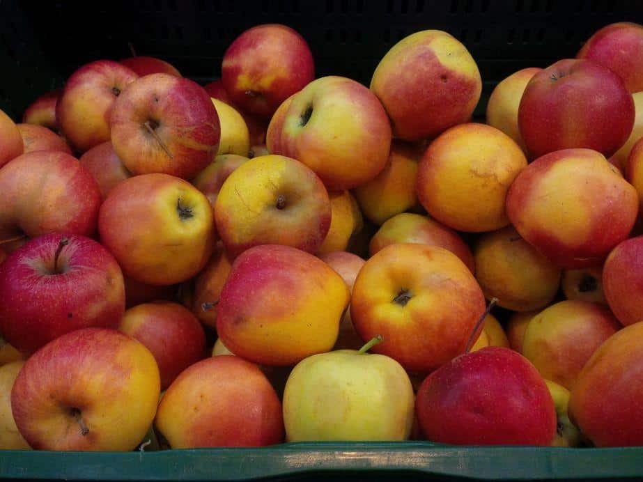 Gdzie ceny za jabłka są niższe niż w Polsce? Nie na Słowacji