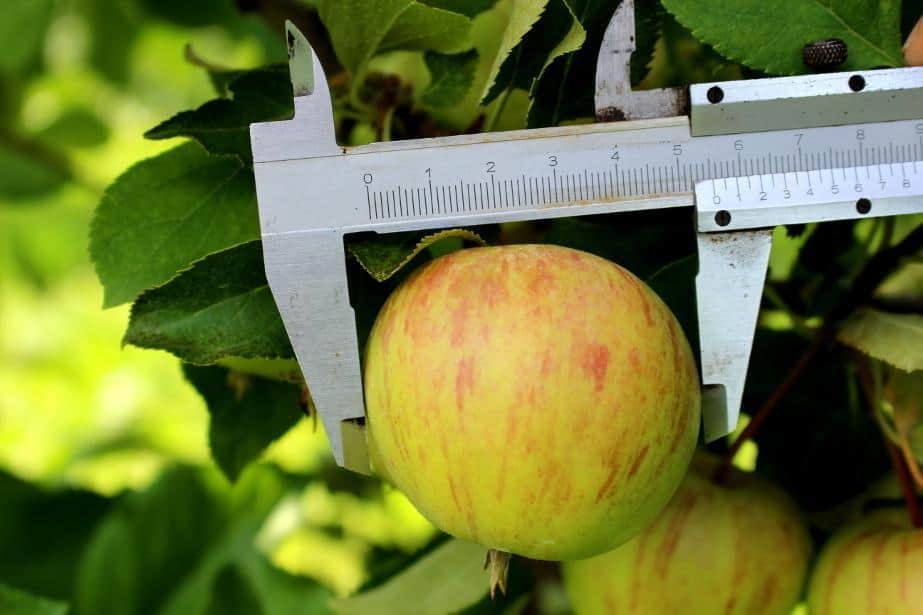 Bieżące wskazówki, D. Poszywała 3.08