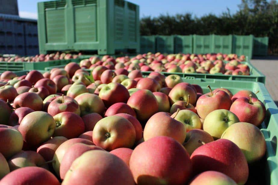 Będą zmiany przy sprzedaży owoców?