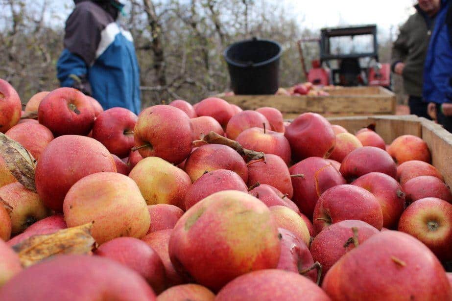 Skąd brak chęci do działania?