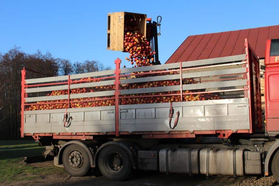 Rosną ceny przemysłu – co z jabłkiem deserowym?