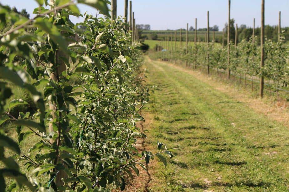 Ukraińcy pracowali bez umowy