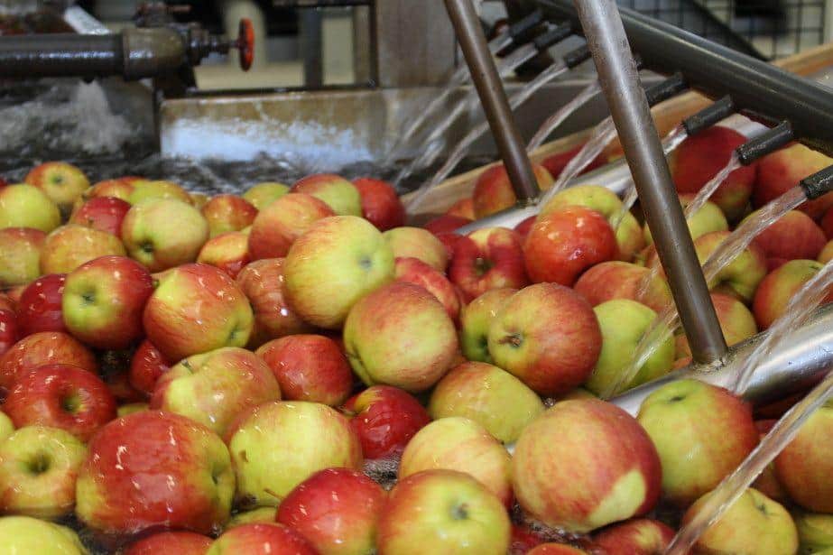 Aktualne ceny jabłek deserowych