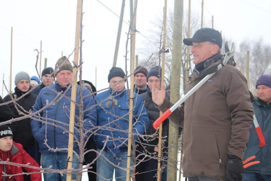 Klik na młodych drzewkach, Peter van Arkel, cz.2