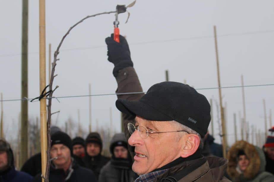 Klik na młodych drzewkach, Peter van Arkel, cz.1