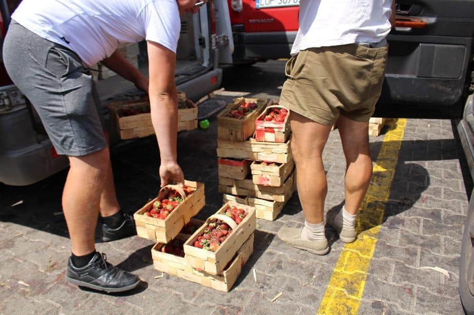 Ceny truskawek na finiszu sezonu [07.07.20]