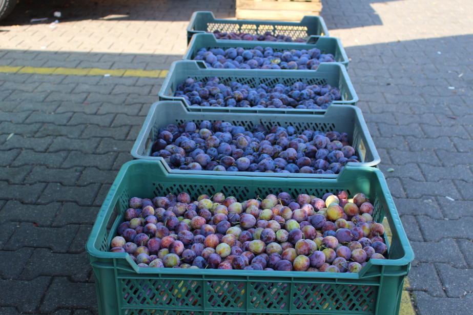 Śliwki: A jednak jeszcze tańsze... 
