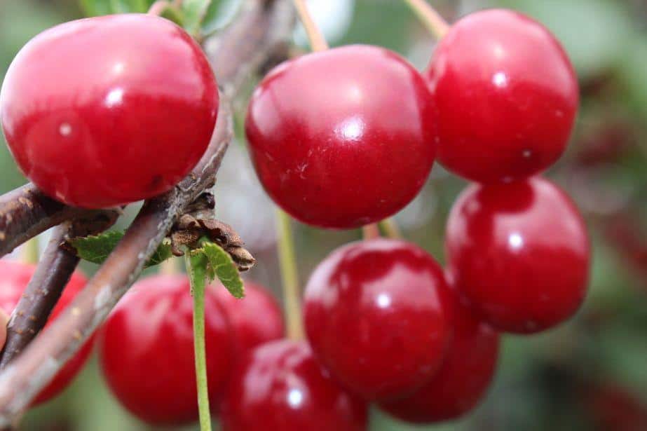 Mirosław Maliszewski zapowiada protest!