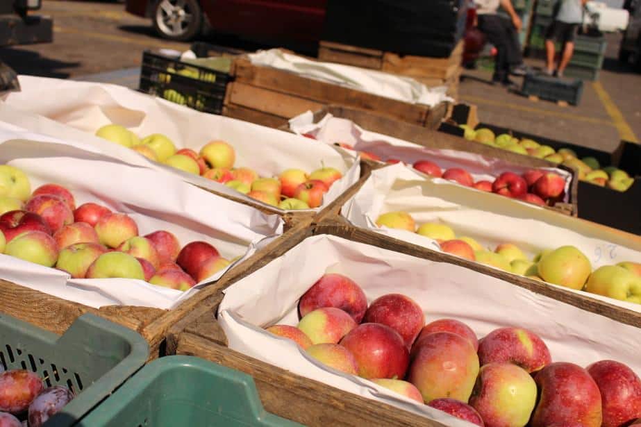 Rekordowe ceny polskich jabłek na rynku krajowym