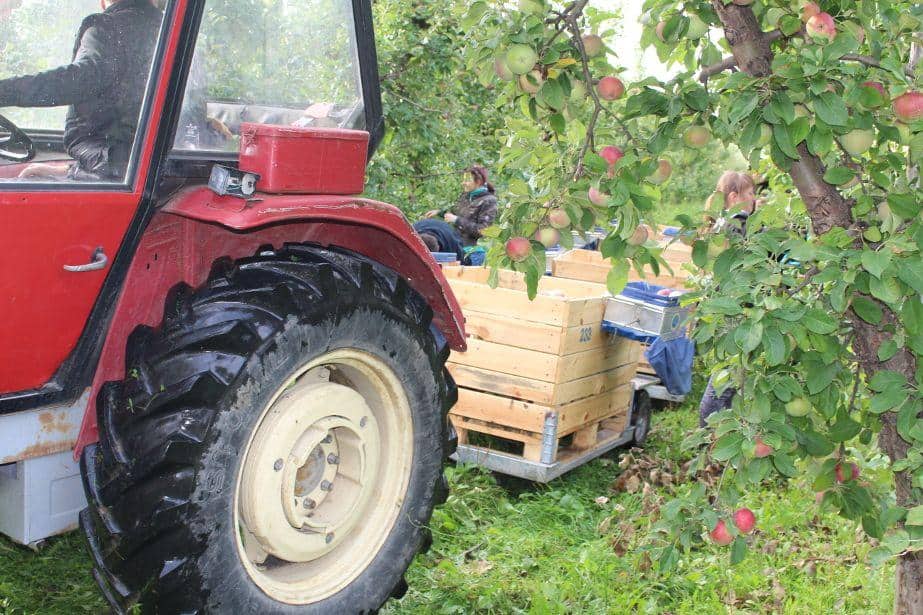 95 tys. $ – kara za molestowanie operatorki ciągnika!