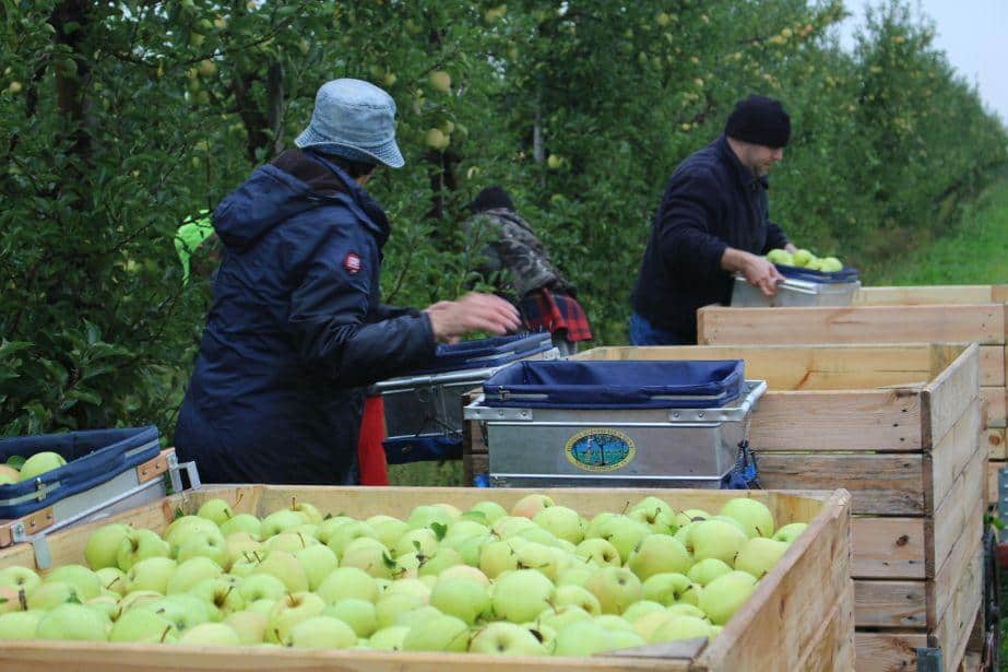Ile należałoby płacić za pracę w gospodarstwie?