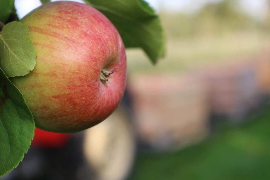 Ceny prądu pozostaną na poziomie z pierwszej połowy 2018
