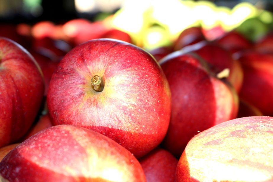 Dostawy jabłek z Białorusi zmuszają rosyjskich sadowników do obniżania cen