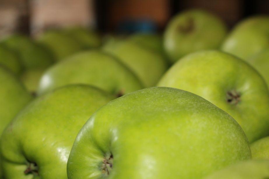 Niemieckie jabłka już nie zdrożeją?