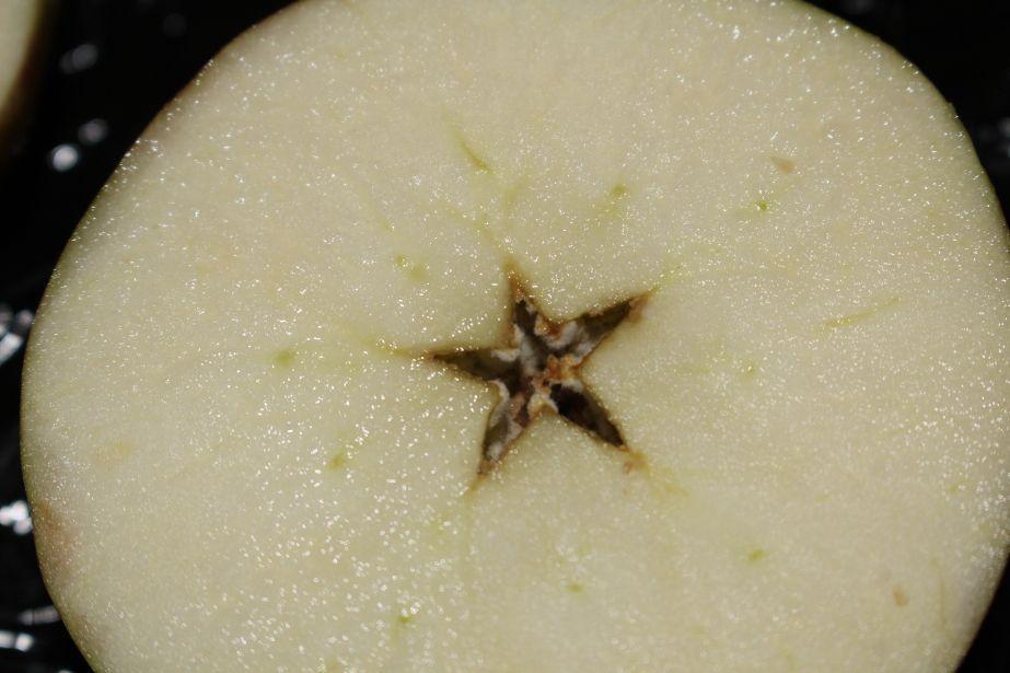 Czy odśrodkowe gnicie i pleśnienie gniazda da się we znaki?