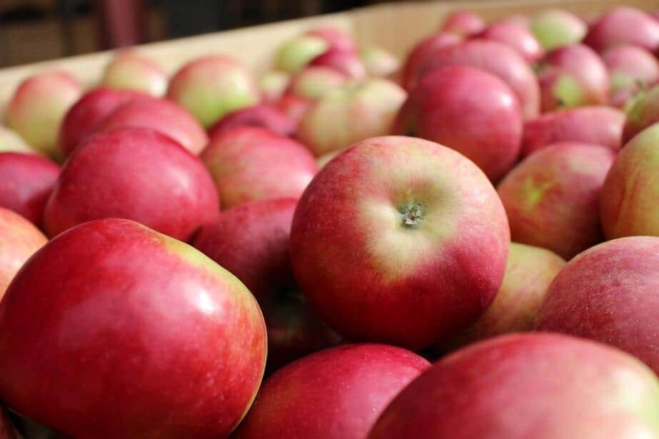 Jabłka drożeją – Idared już 2,00 zł/kg