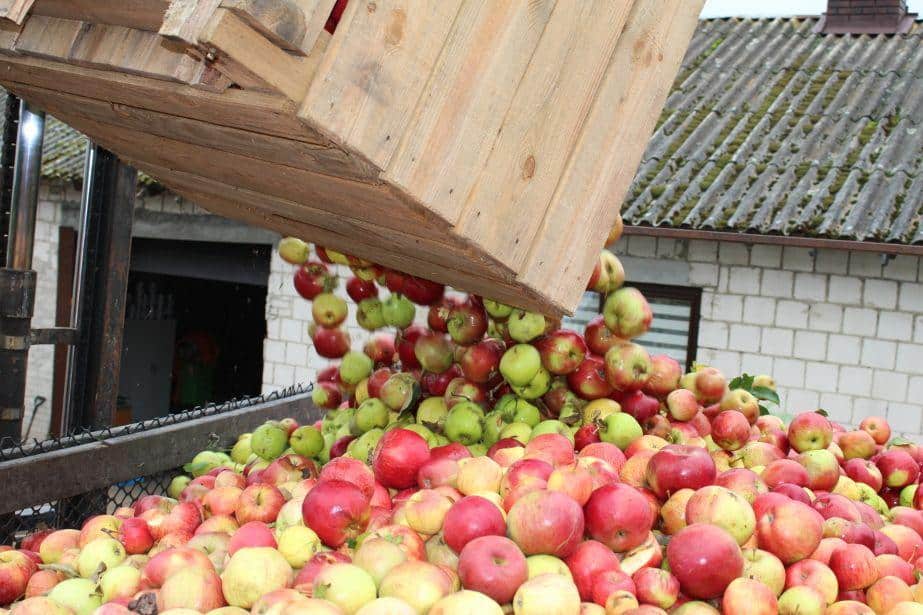 KUPS wyjaśnia, dlaczego ceny jabłek przemysłowych są tak niskie
