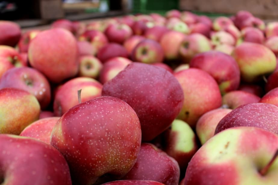 Włochy: Kara więzienia za podawanie nieprawdziwych informacji o pochodzeniu owoców