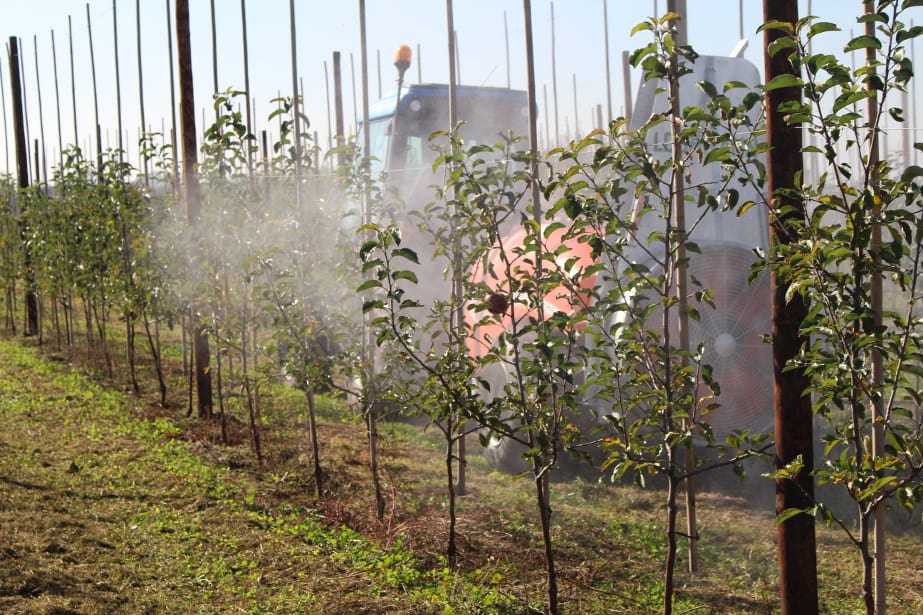 Grójeccy sadownicy w walce z koronawirusem