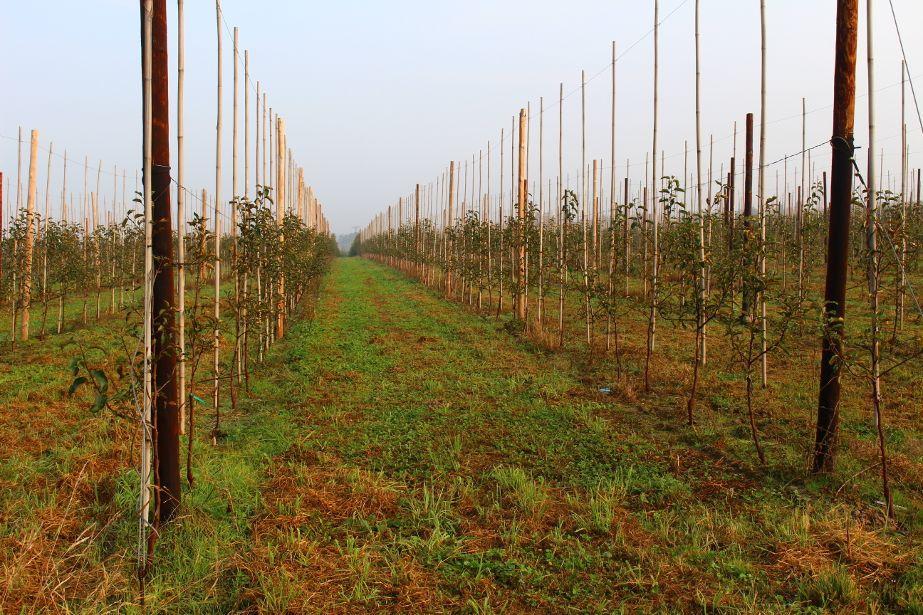 Nowe kotwy gruntowe od Gripple