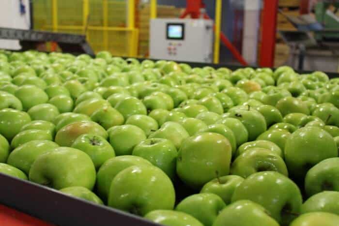 Ceny jabłek 8 – 18 maja