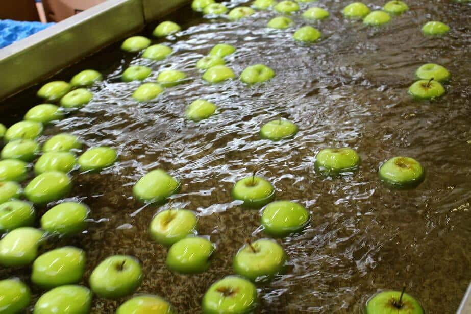Ceny jabłek 17 – 27 kwietnia