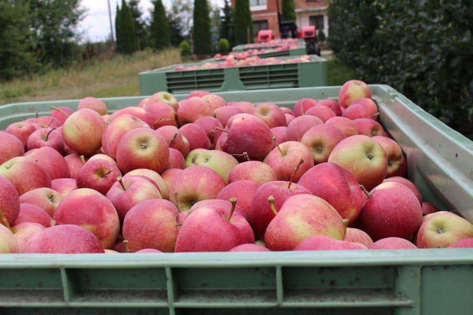 Gala na Ukrainie trzykrotnie droższa niż w 2018