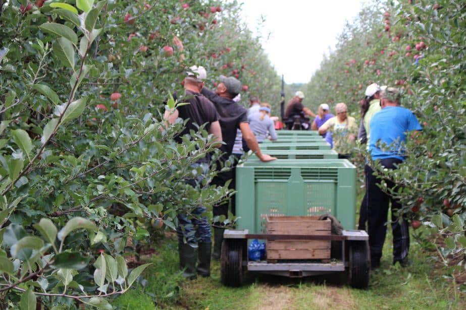 Jak legalnie zatrudnić cudzoziemca w czasie epidemii koronawirusa?